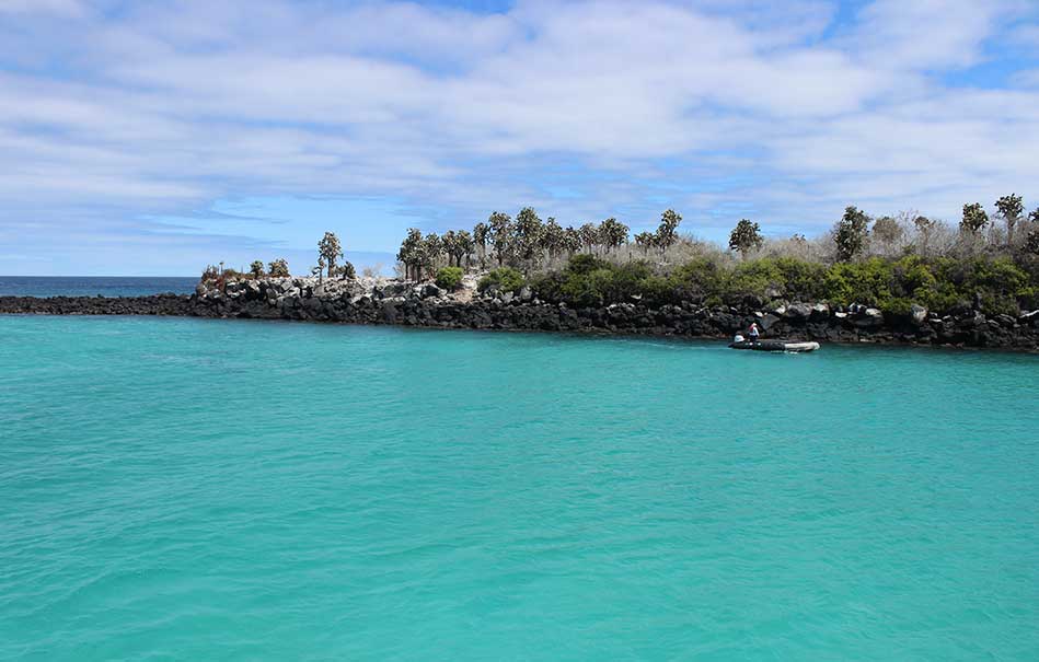 Paisaje de la Isla Santa Fe de las Islas Galápagos.