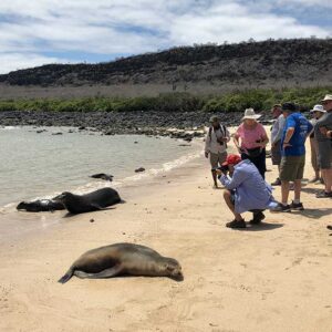 Turista fotografía rayas sobre la orilla de una playa en Islas Galápagos.