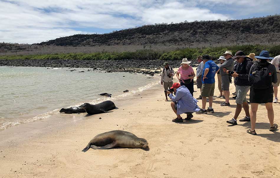 Turista fotografía rayas sobre la orilla de una playa en Islas Galápagos.