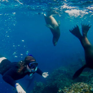 Un par de personas practican snorkel en las Islas Galápagos.