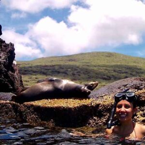 Mujer practica snorkel entre lobos marinos en las Islas Galápagos.