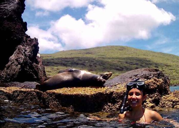 Mujer practica snorkel entre lobos marinos en las Islas Galápagos.