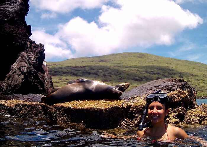 Mujer practica snorkel entre lobos marinos en las Islas Galápagos.