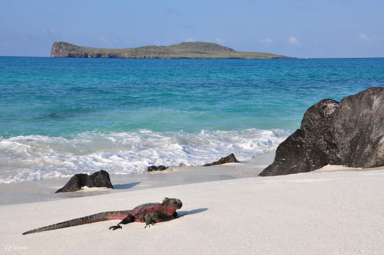 Santa cruz + 3 islas - Imagen 9