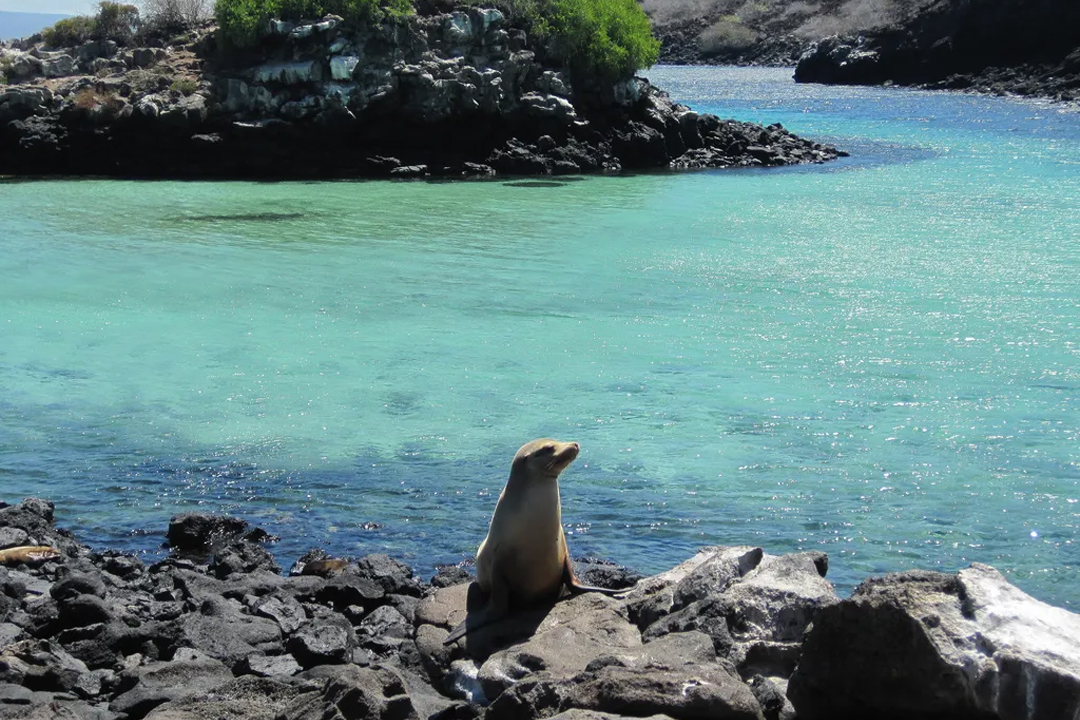 Santa cruz + 3 islas - Imagen 8