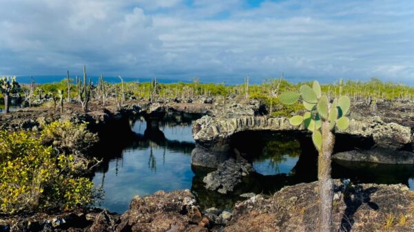 Galápagos Natural - Imagen 3