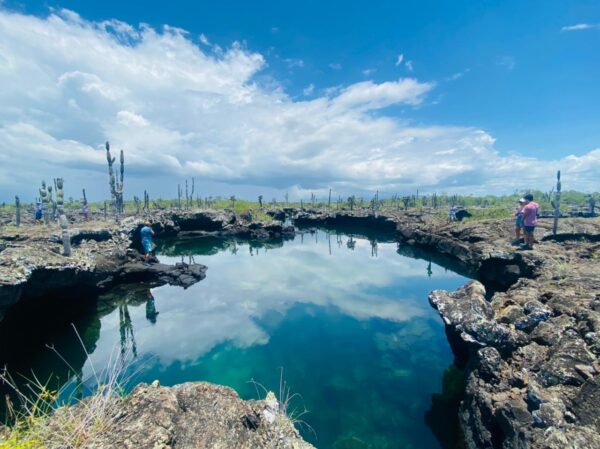 Galápagos Natural