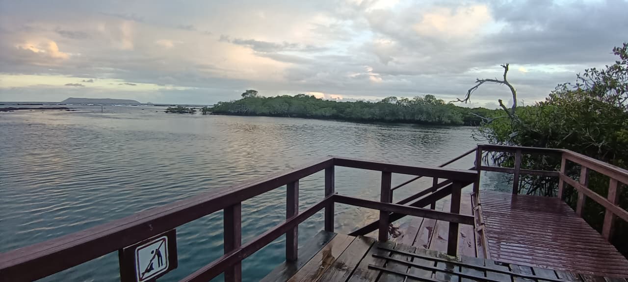 Galápagos Único - Imagen 19