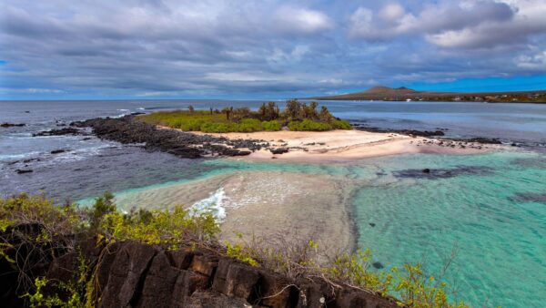 Tour Isla Floreana