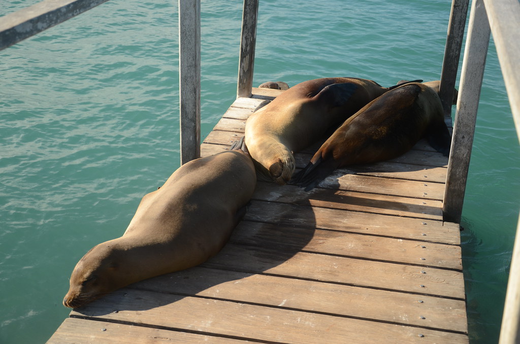Tour de Bahía - Imagen 9