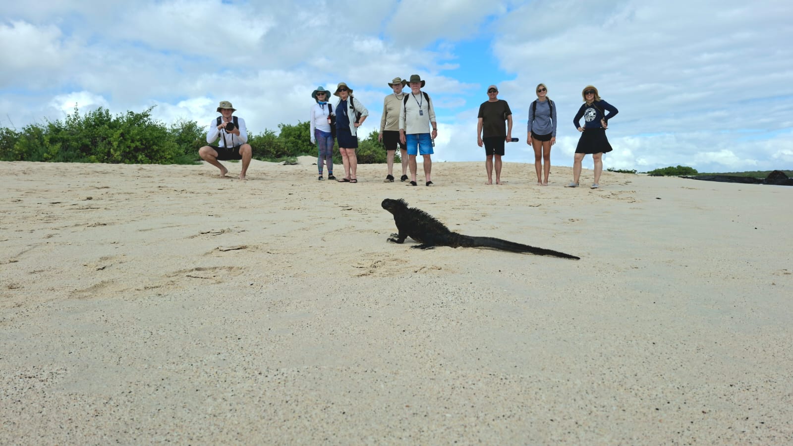 Tour Isla Seymour Norte - Imagen 3