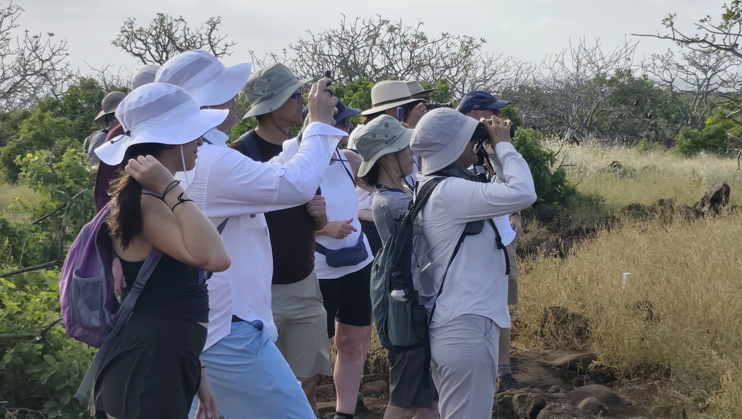 Tour Isla Seymour Norte - Imagen 2