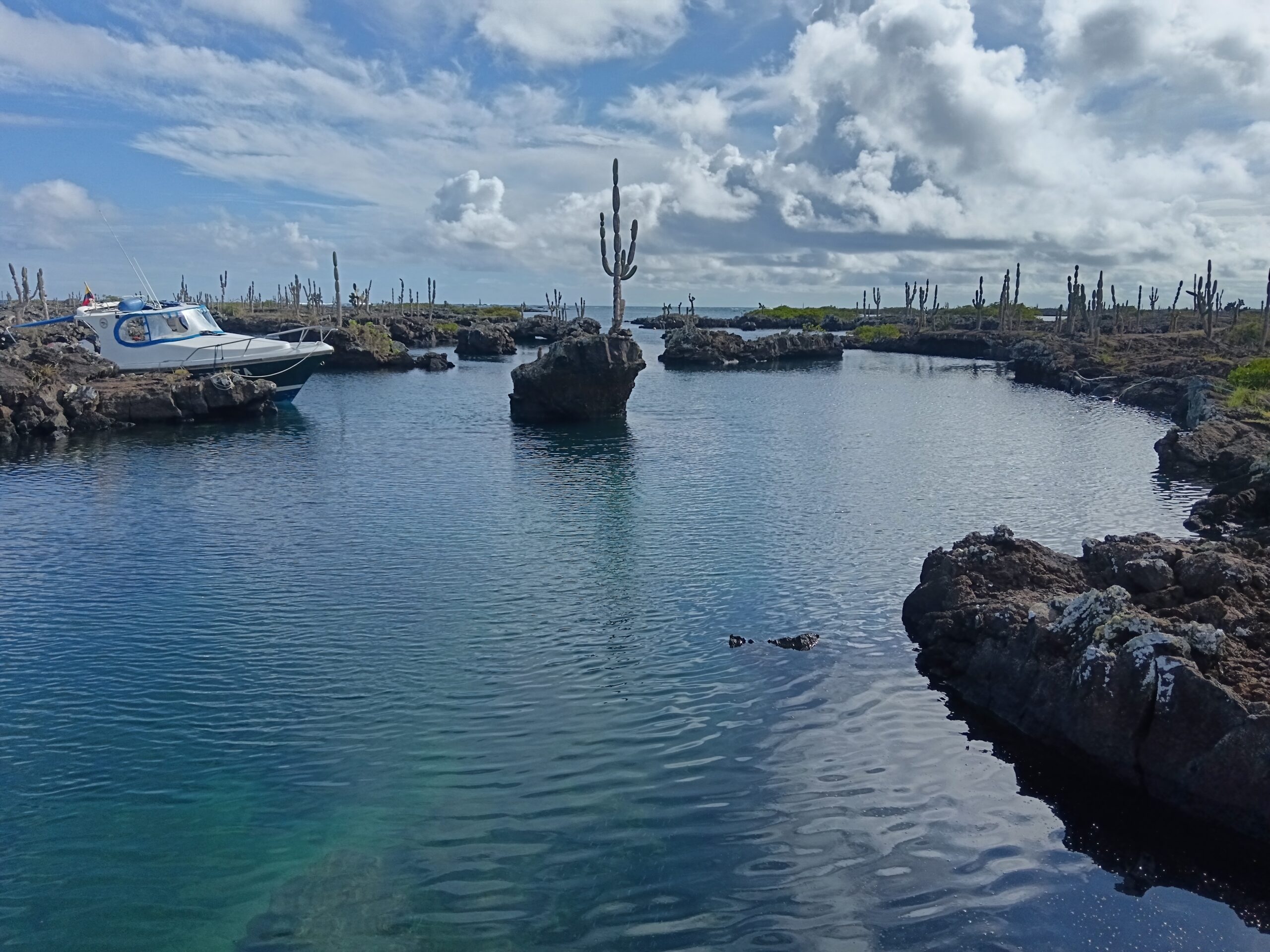 Tour Tintoreras - Imagen 3