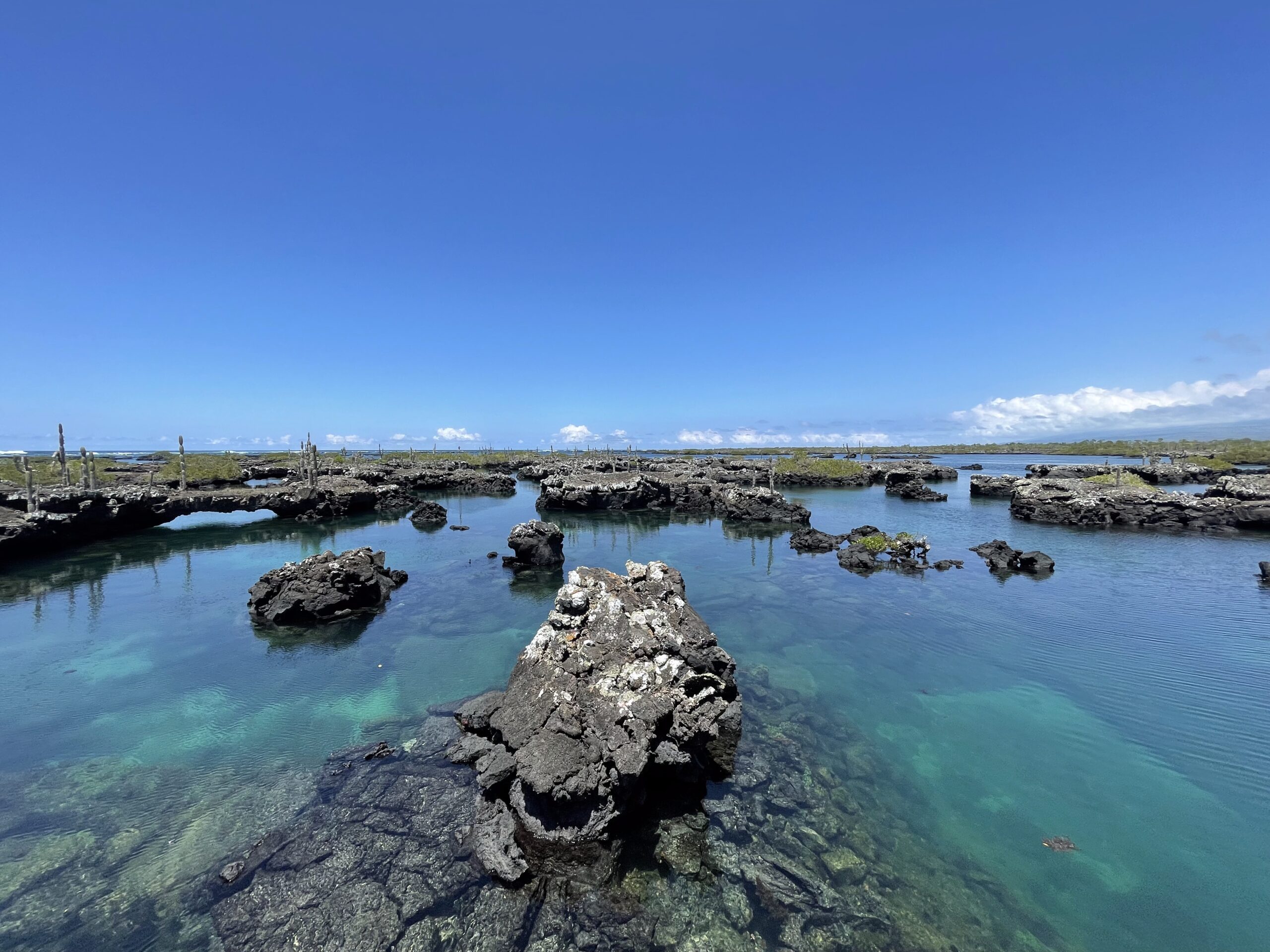 Galápagos Único - Imagen 21