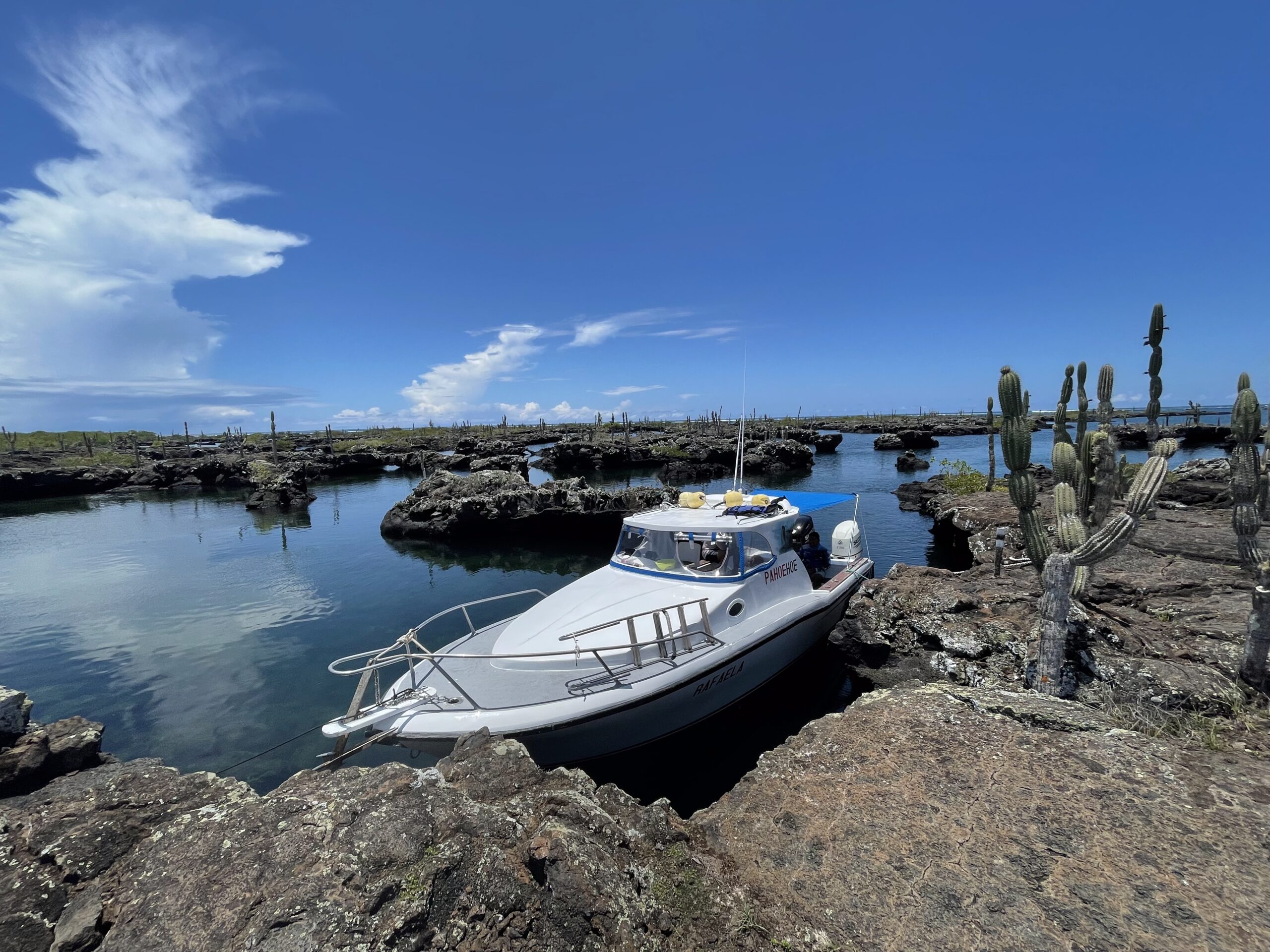 Túneles Cabo Rosa - Imagen 6