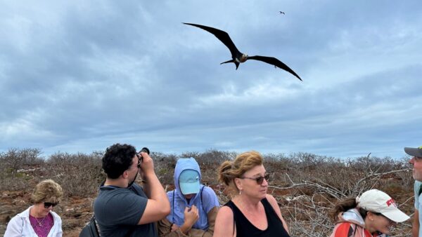 Tour Isla Seymour Norte - Imagen 4