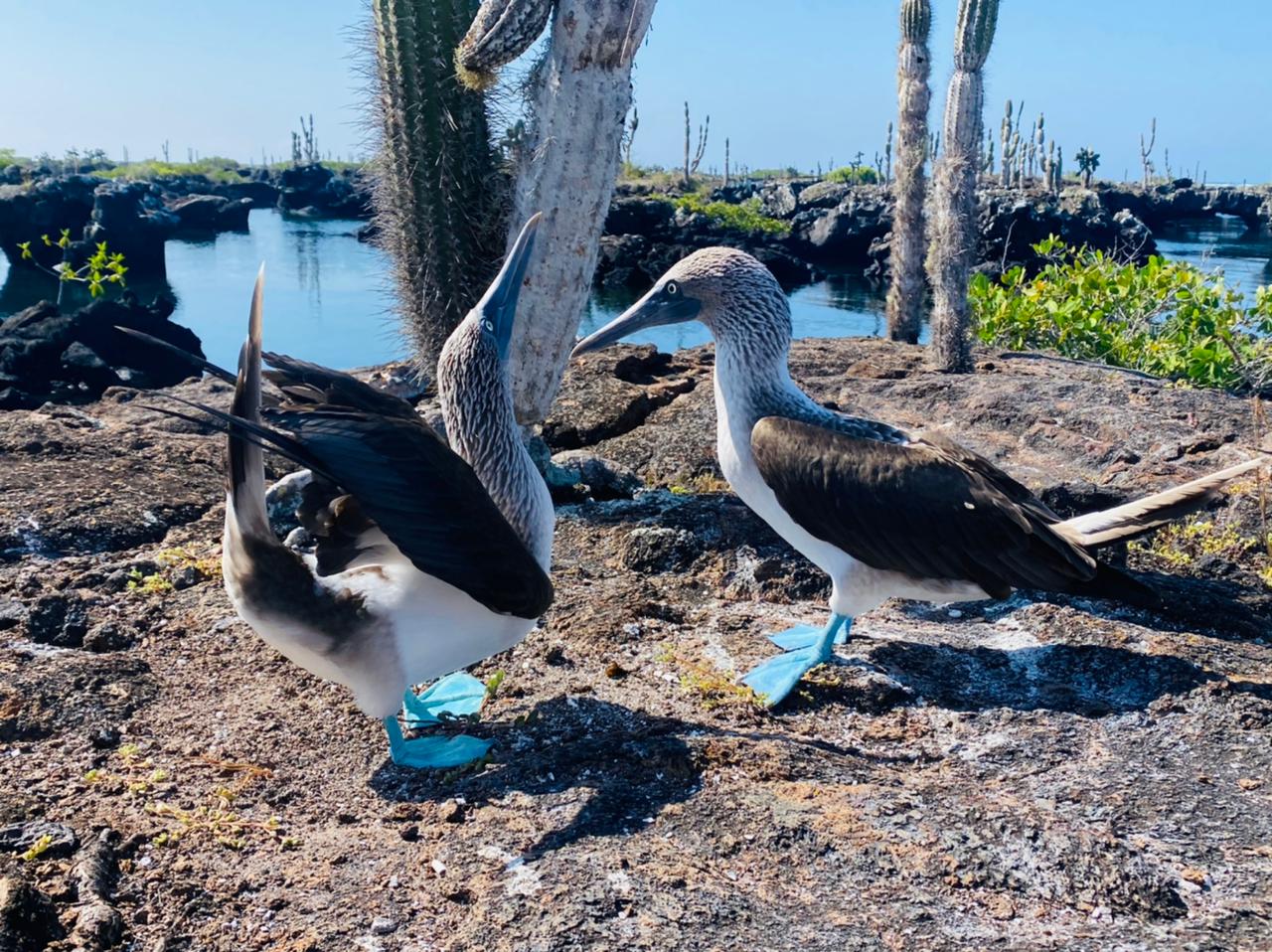 Túneles Cabo Rosa - Imagen 10