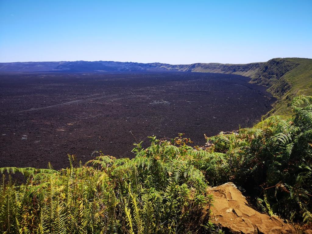Tour Volcán Sierra Negra - Imagen 2