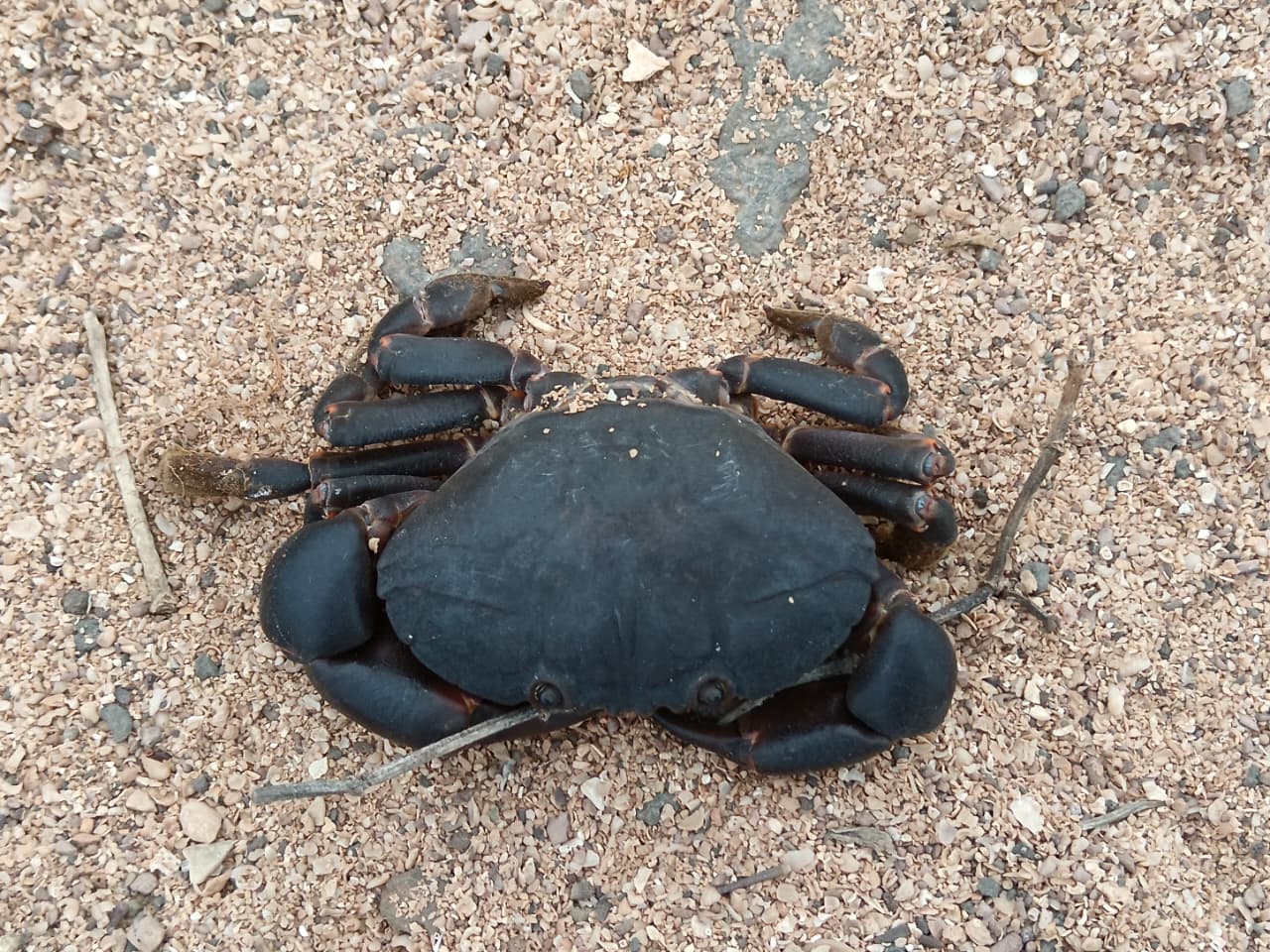 Tour de Bahía - Imagen 6