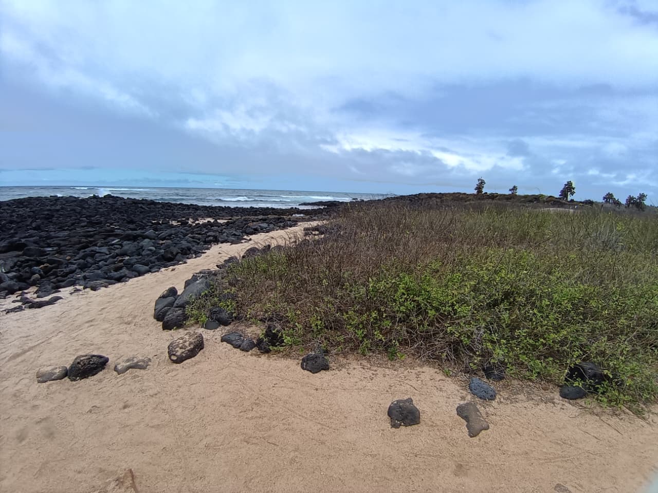 Tour de Bahía - Imagen 3