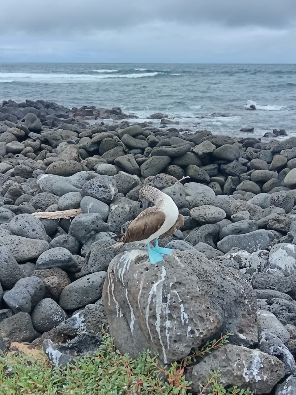 Tour de Bahía - Imagen 8
