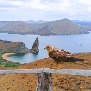 Tour Islote Bartolomé