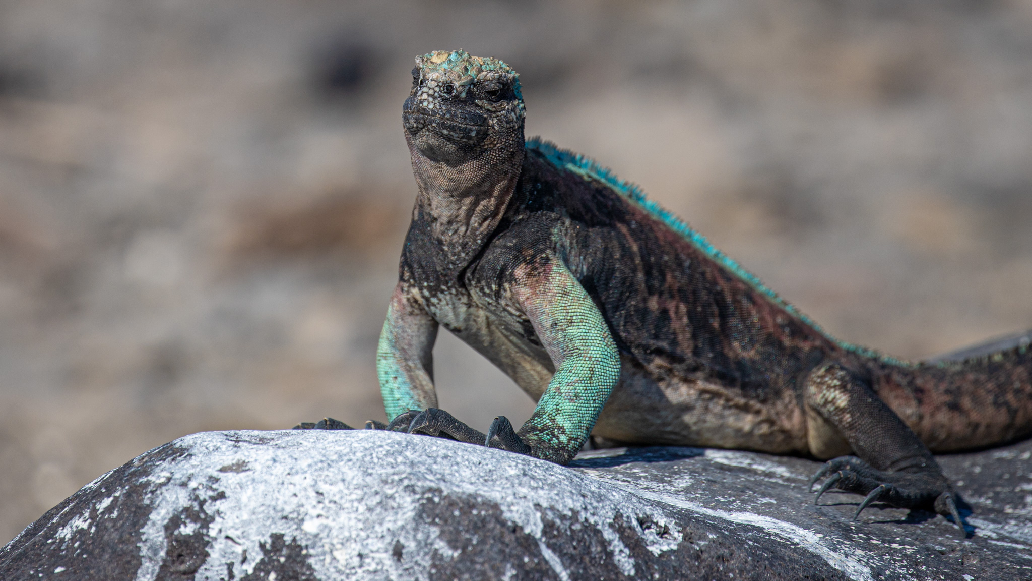 Tour Española - Imagen 5
