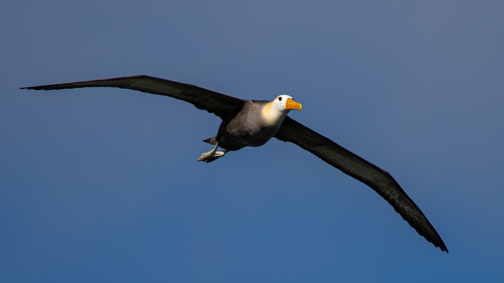 Tour Española - Imagen 9