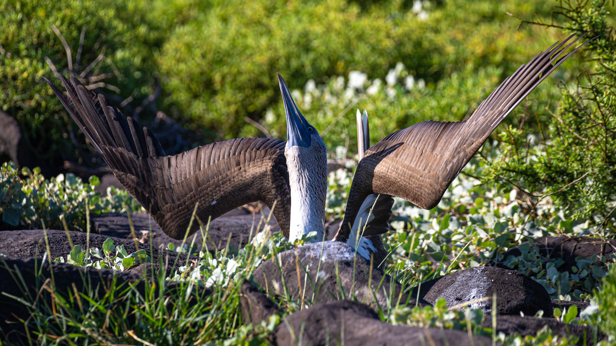 Tour Española - Imagen 2