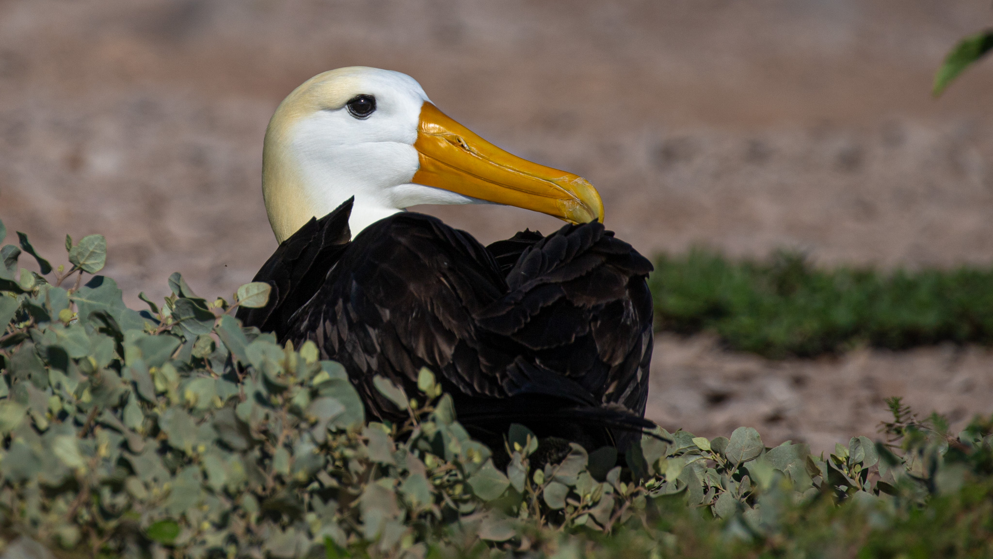 Tour Española - Imagen 4