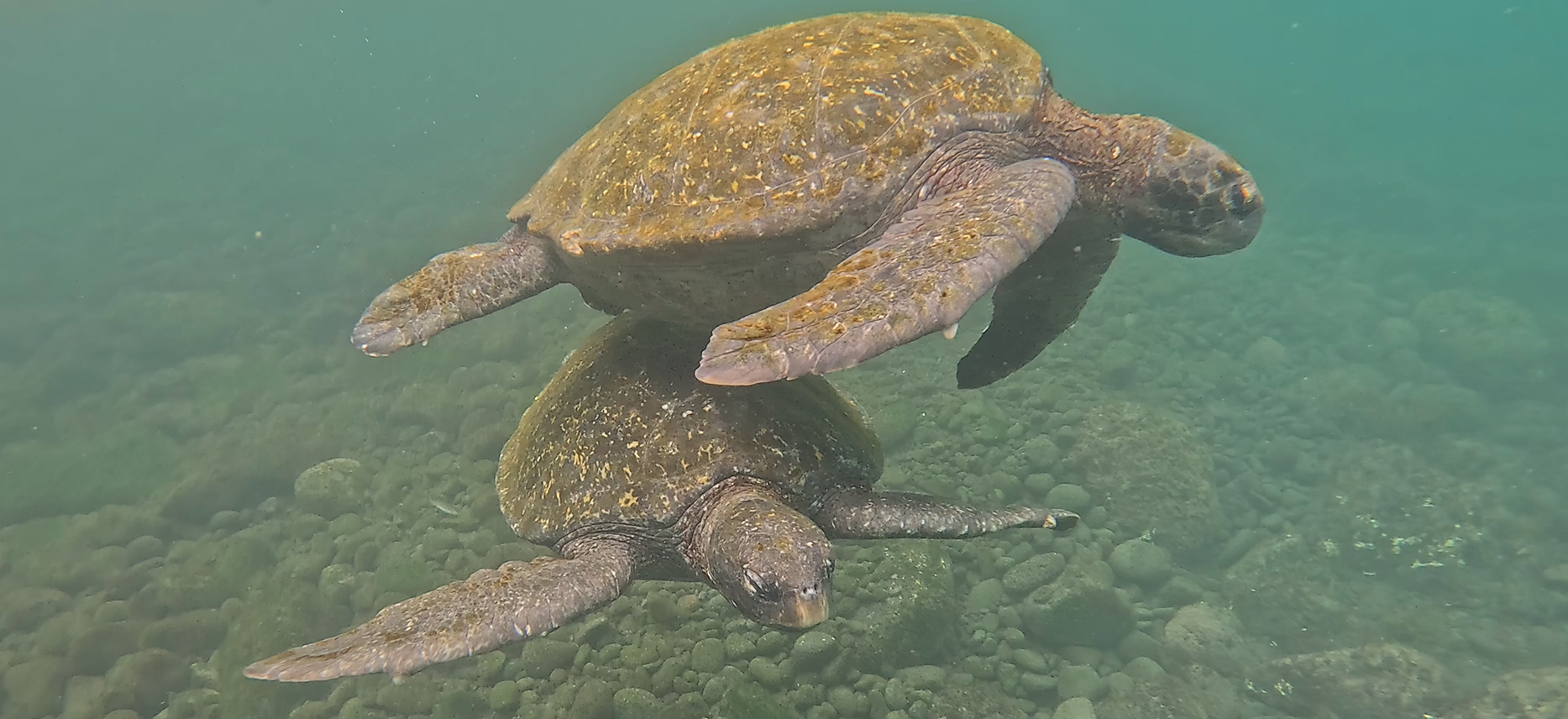 Tour León Dormido - Imagen 3