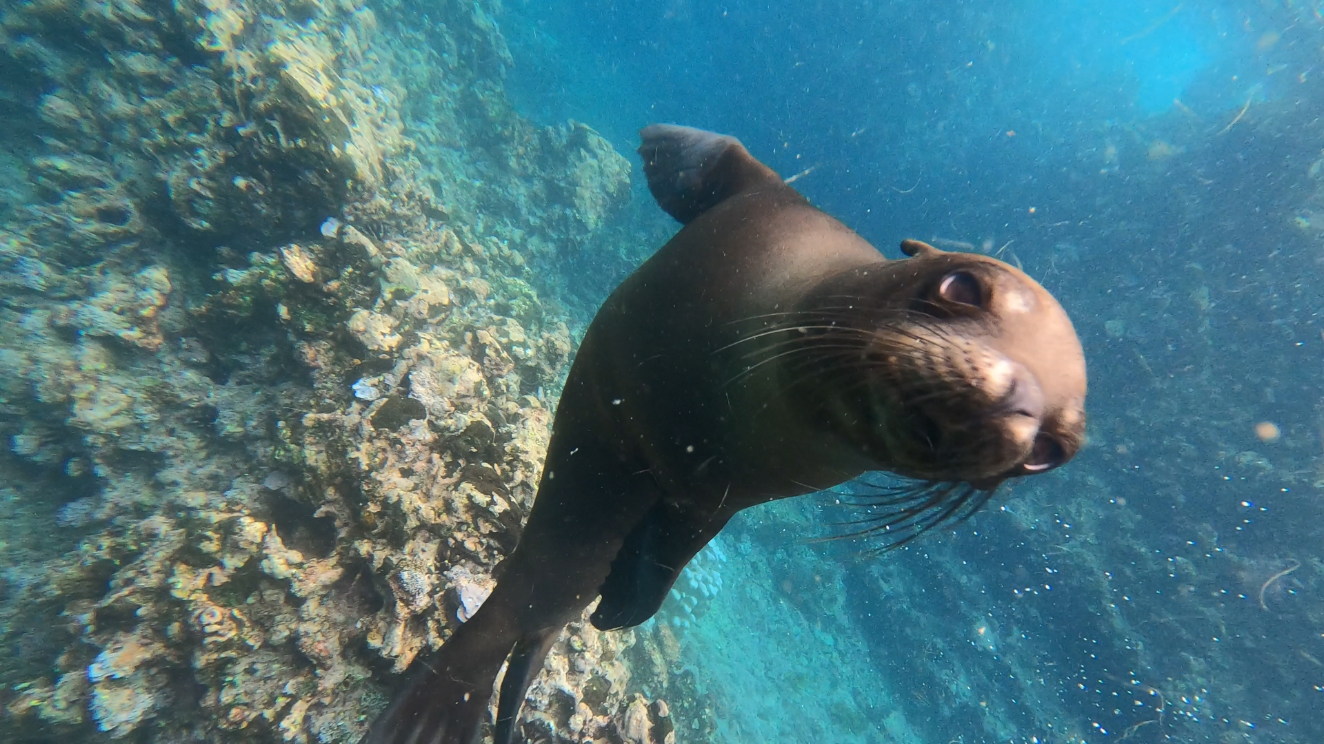 Tour León Dormido - Imagen 4