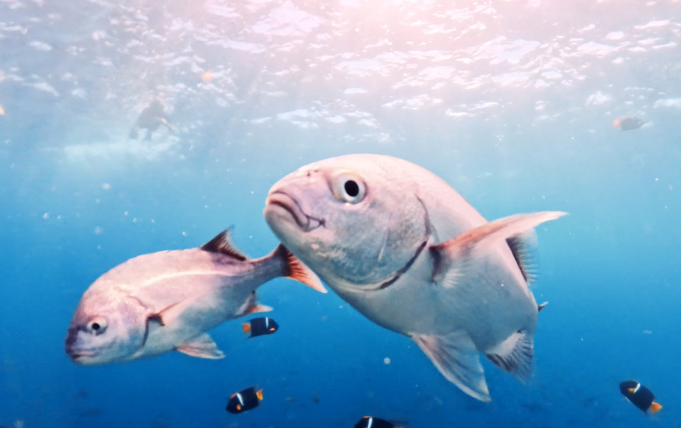 Tour León Dormido - Imagen 6